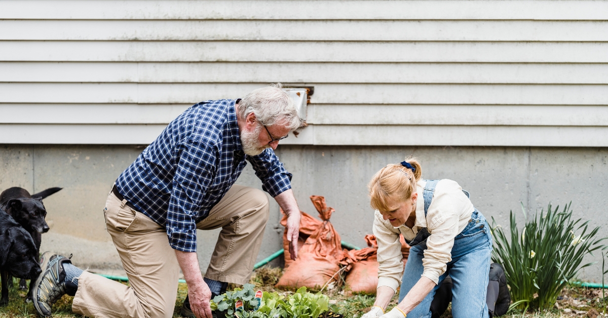elderly man and woman gardening together