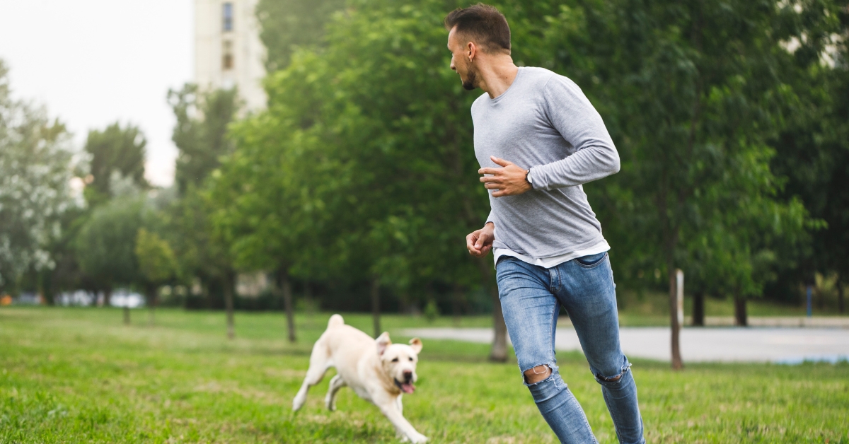 weight loss solutions for men